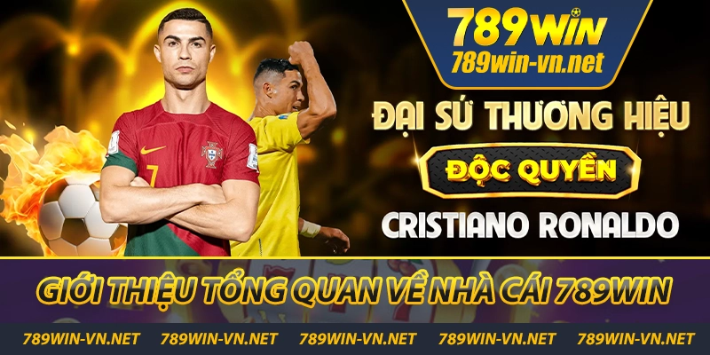 789WIN 🎖️【 789 WIN 】- Trang Chủ Đăng Nhập Mới Tháng 5/2025 36 Tổng quan về nhà cái 789WIN
