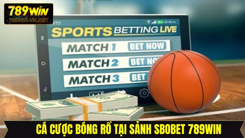 Sbobet 789Win - Sảnh Cược Đẳng Cấp Hàng Đầu Khi Cá Độ 3 Cá cược bóng rổ online trên Sbobet