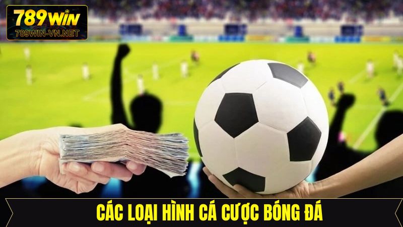 Cá Cược Bóng Đá - Trải Nghiệm Giải Trí Đỉnh Cao Tại 789Win 3 Tổng hợp các loại kèo phổ biến trong cá độ bóng đá tại 789Win
