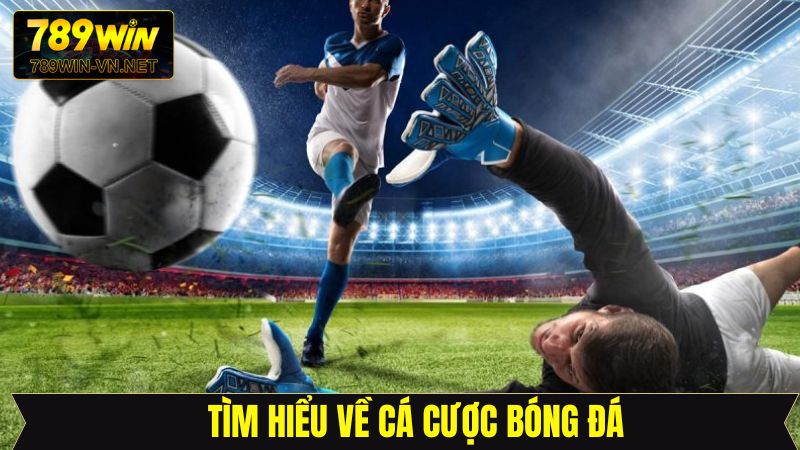 Cá Cược Bóng Đá - Trải Nghiệm Giải Trí Đỉnh Cao Tại 789Win 2 Sơ lược về cá cược bóng đá