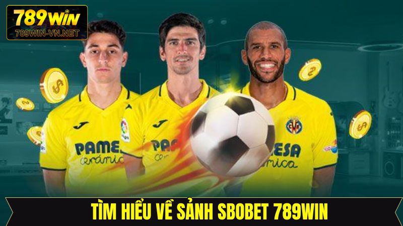 Sbobet 789Win - Sảnh Cược Đẳng Cấp Hàng Đầu Khi Cá Độ 2 Thông tin về sảnh thể thao Sbobet 789Win